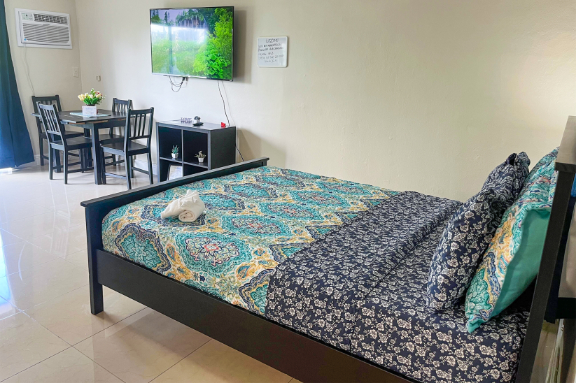 Kiwi Apartment photo #1